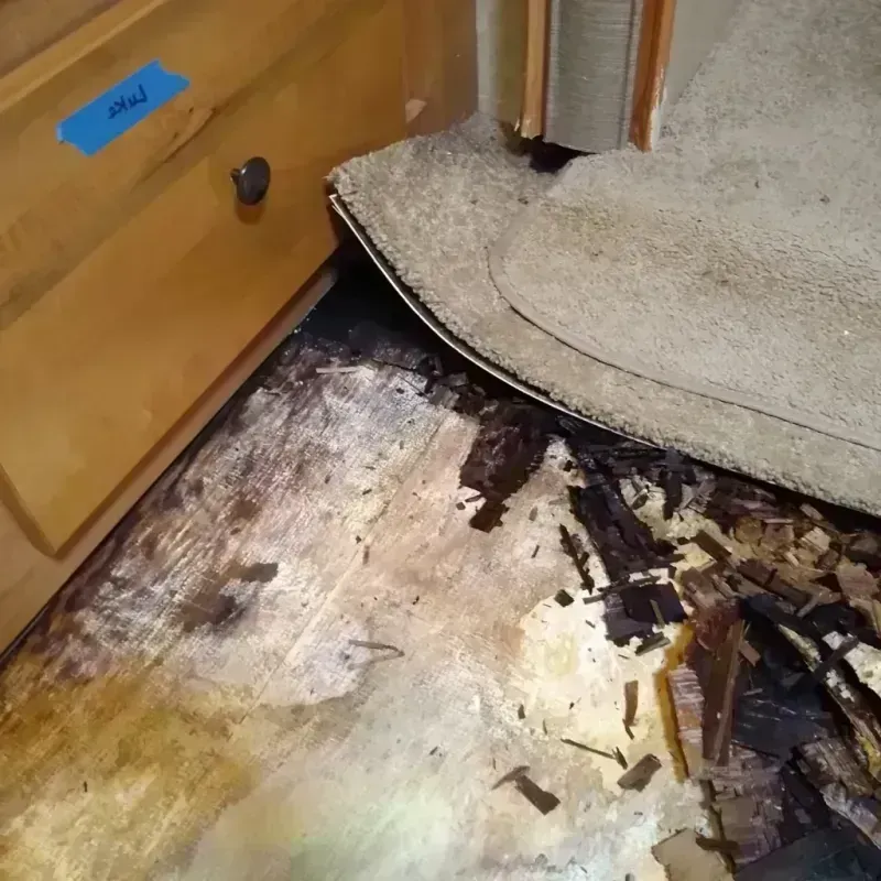 Wood Floor Water Damage in Wayne, NJ